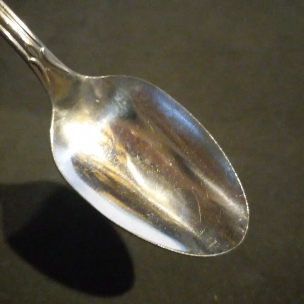 Oneida Stainless Steel Plantation Custom Teaspoon-Lot of 4-Flowers-Discontinued